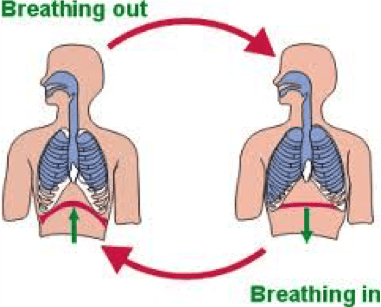 air quality sampling personal breathing zone