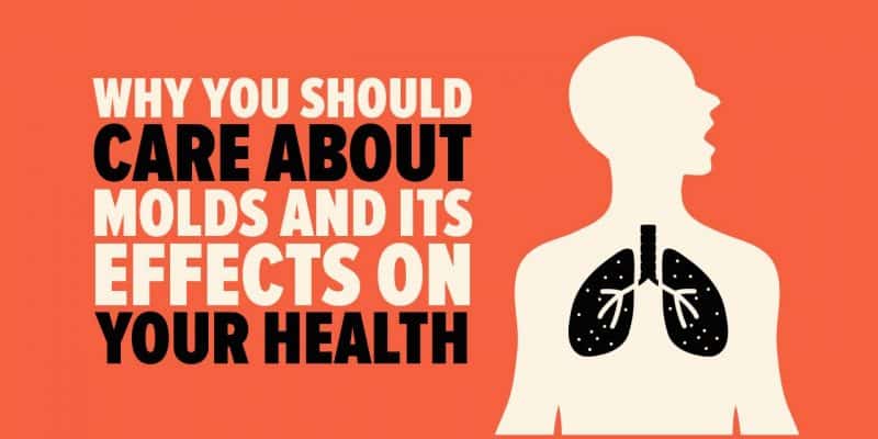 Minneapolis, MN | Basement Ventilation | EZ Breathe indoor air qualitiy professionals can guide you with choosing an EZ Breathe System that will improve your homes indoor air quality