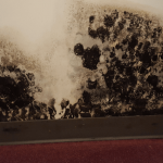 Mold Remediation | New Jersey
