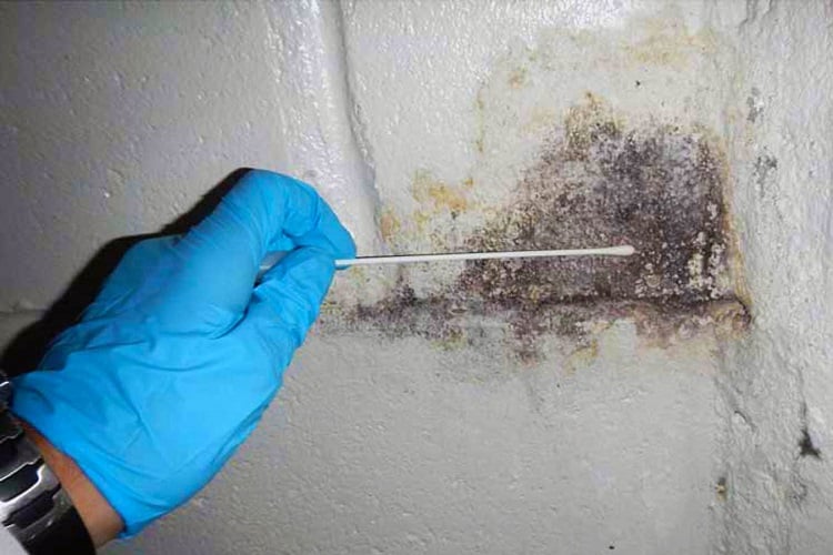 Mold Testing | New Jersey | EZ Breathe Ventilation System