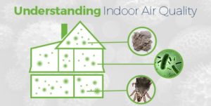Understanding indoor air quality graphic showing a house with highlighted allergens like mold and dust mites, emphasizing the importance of ventilation for healthier air.