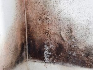 mold-removal-ez-breathe-3